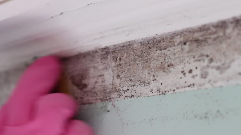 Mold Remediation for Rental Properties in Green River, WY